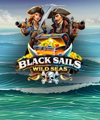 Black Sails Wild Seas