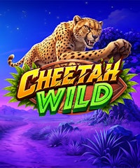 Cheetah Wild